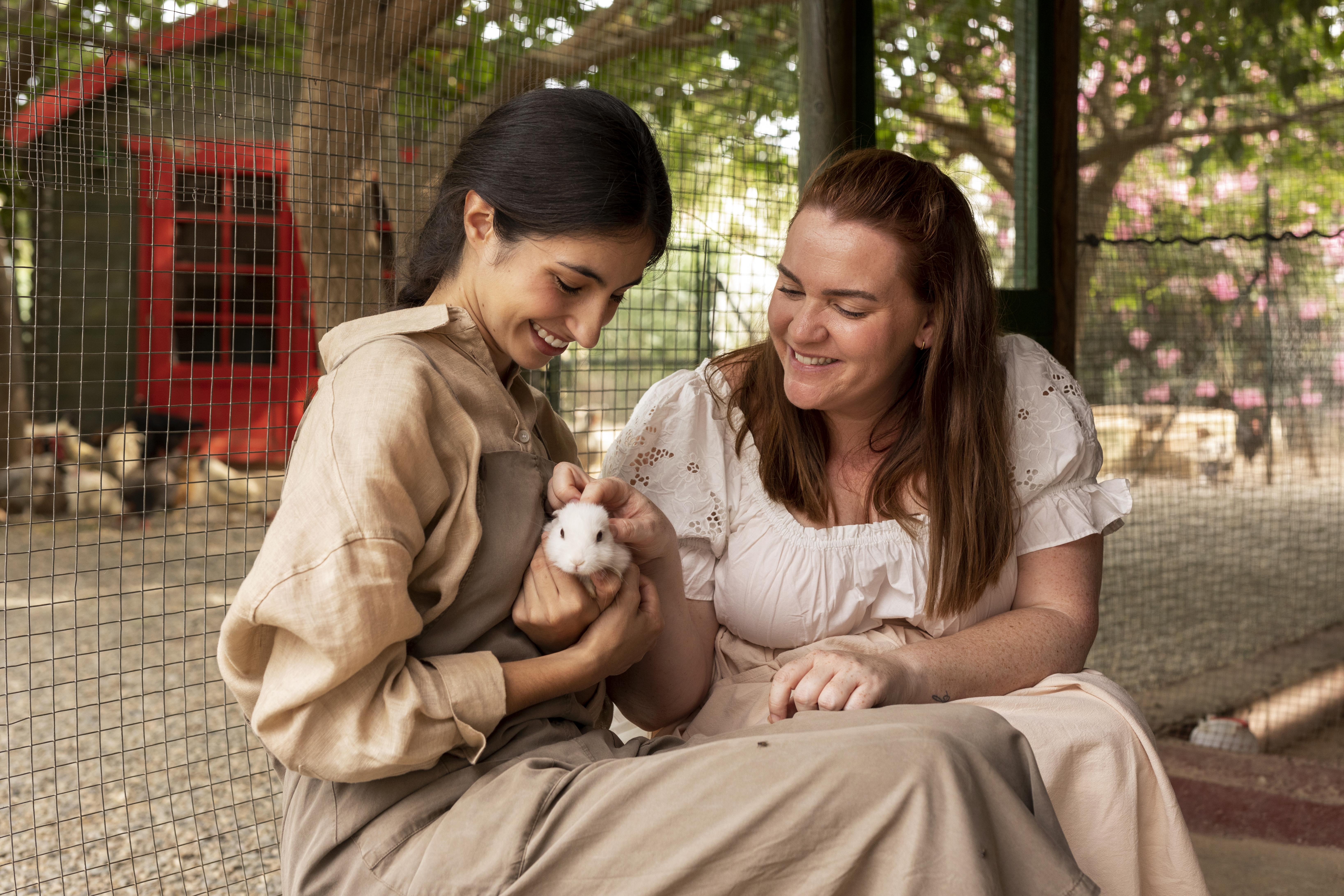 What is Pet Or Animal Assisted Therapy?