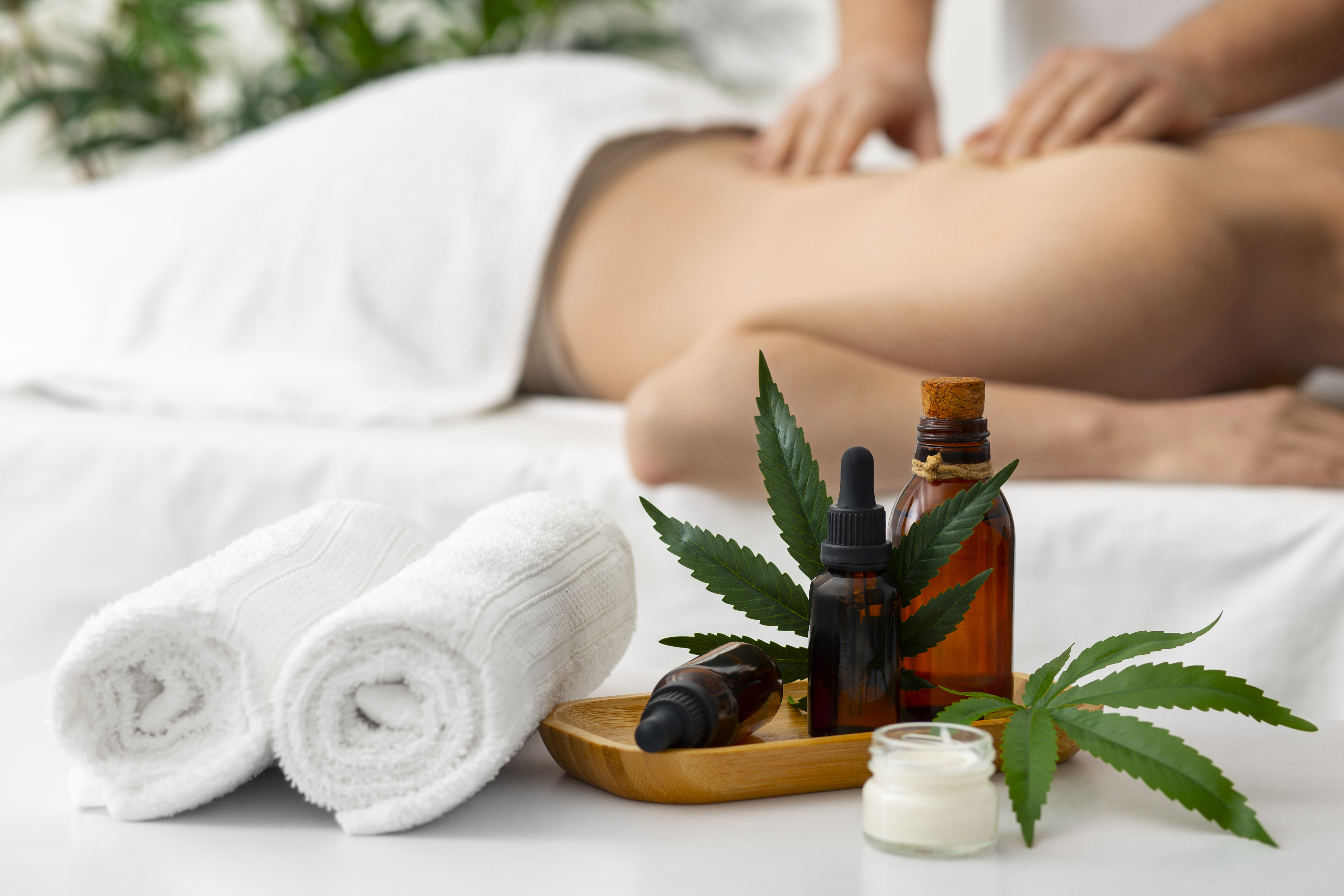 Ancient Tamil Naturopathy Hero