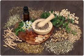 🧉 Herbal Remedies