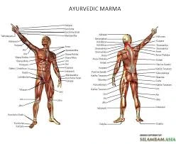 What is Integrating Traditional Tamil Vital Points Therapy?