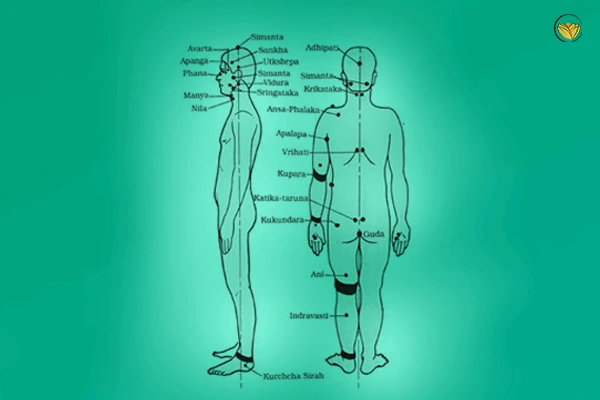 Benefits of Integrating Traditional Tamil Vital Points Therapy