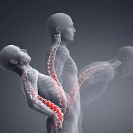 Spinal Alignment